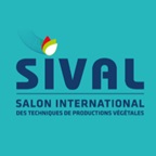 Sival 2027